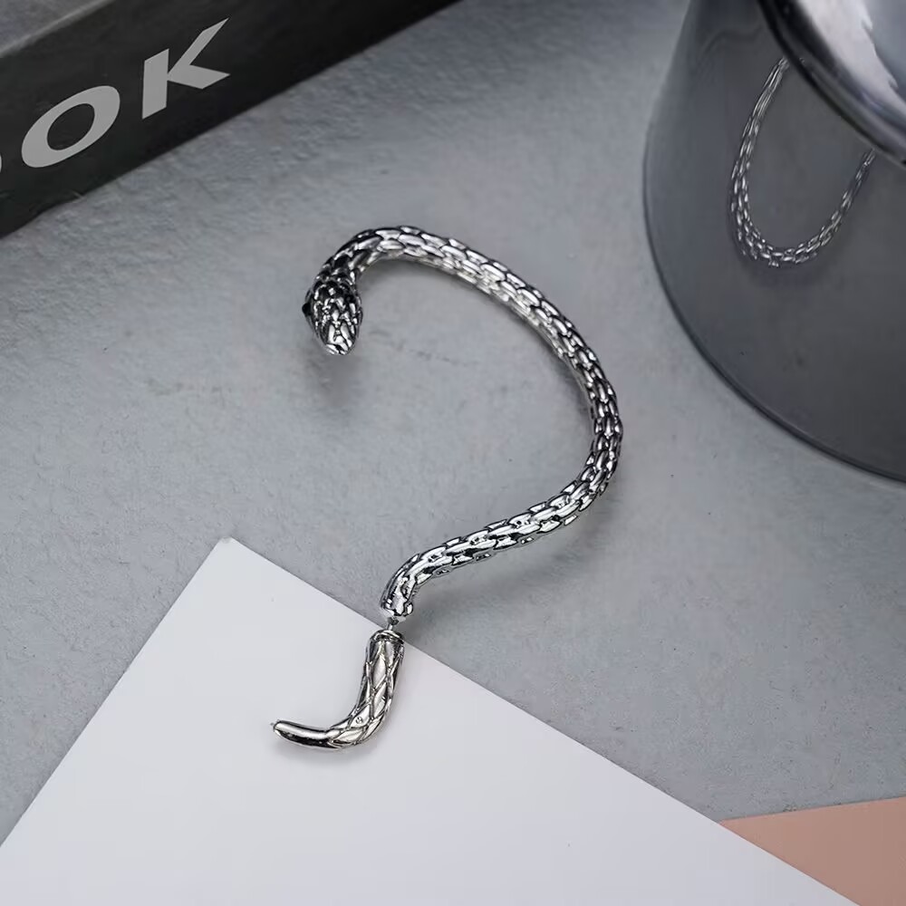 Snake Earring Silver 1